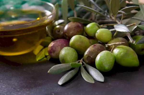 aceitunas fruta y aceite de oliva