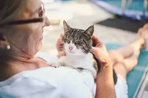 Iloinen vanhempi nainen halaa kotimaista tabby-kissaa