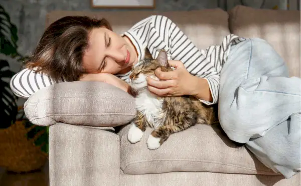 Retrato de uma jovem segurando um lindo gato siberiano com olhos verdes