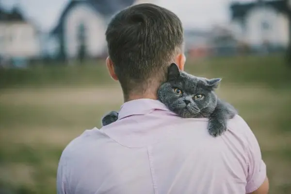 Afbeelding van een man die zijn kat in een warme omhelzing houdt, die zowel een gevoel van comfort als kameraadschap uitstraalt in een thuisomgeving.