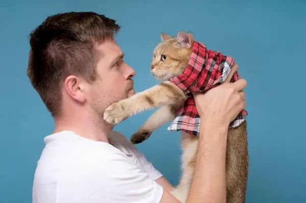 Foto de un chico sosteniendo un gato contento y relajado, ambos exudando una sensación de armonía y amistad en su momento compartido.