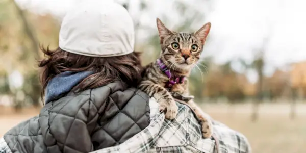 Kollarında sakin ve halinden memnun görünen bir kedi taşıyan, her ikisi de doğal bir fon önünde birlikte yürüyen bir adamın görüntüsü.