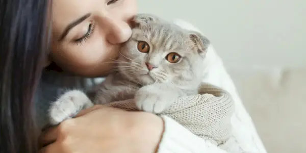 Una imagen entrañable de una persona besando suavemente a su gato.