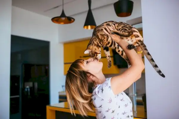 Katze wird geküsst.