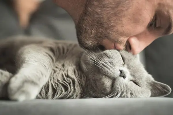 Ein liebenswertes Bild, das eine Katze zeigt, die eine liebevolle Geste ausführt, die einem Kuss ähnelt.