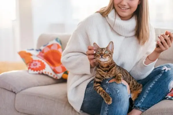 En lugn katt som sitter på en person