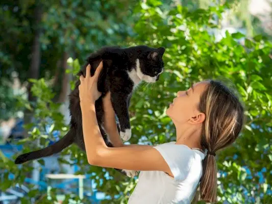 Direkter Blick in die Augen einer wachen und aufmerksamen Katze.