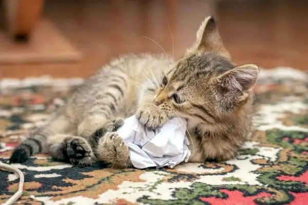 Un gato contento jugando, golpeando un trozo de papel arrugado con evidente deleite, ilustrando los placeres simples que cautivan a un gato.