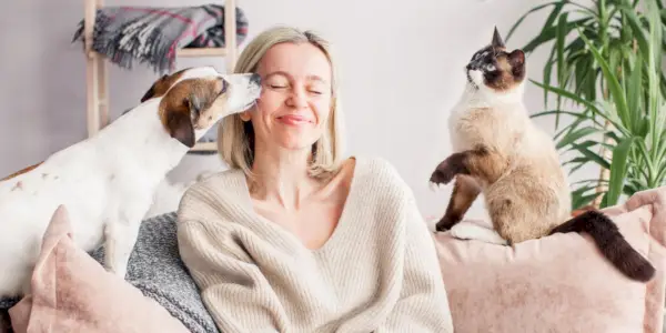 La mujer descansa en el sofá con un perro y un gato.