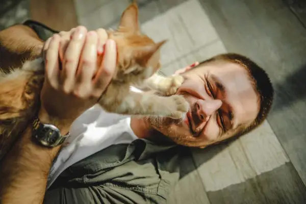 un joven yace en el suelo y abraza a los gatos maine coon