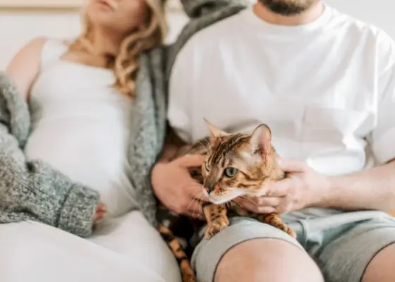 Imagem de um gato confortavelmente aninhado entre um casal, simbolizando o carinho e a felicidade compartilhados que os animais de estimação podem trazer aos relacionamentos.