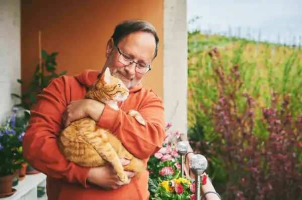 Foto di un marito con un gatto in braccio, che illustra una commovente dimostrazione di compagnia e cura tra il proprietario di un animale domestico e il suo amico felino.