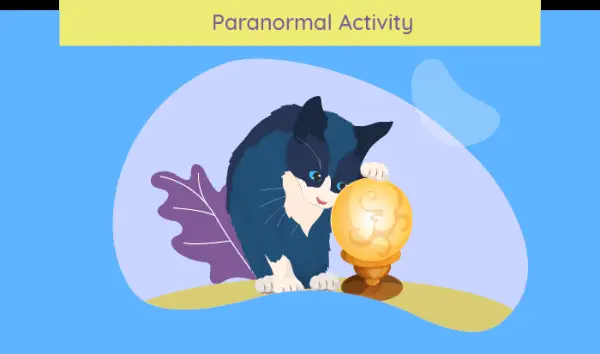 Atividade Paranormal de gato