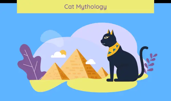 Mitologia do Gato