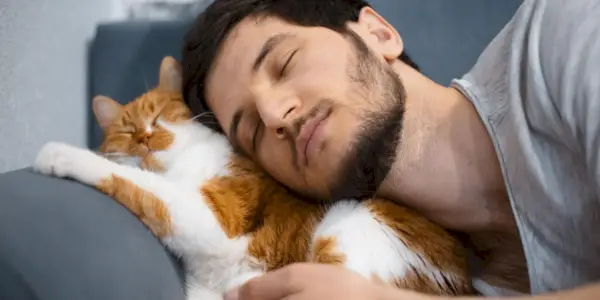 Momento conmovedor entre un hombre y su gato mientras comparten un cálido abrazo.