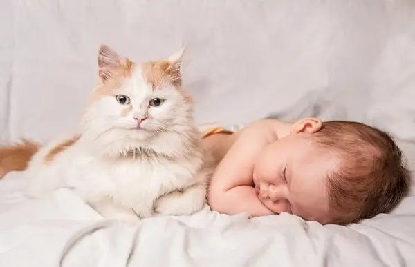 En vaksam katt som vakar över en fridfullt sovande bebis med en skyddande blick.