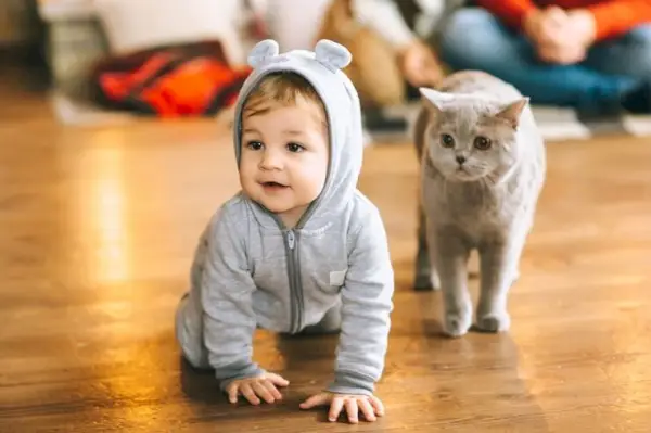 Et hjertevarmt billede af en baby med en kat, der illustrerer en rørende og blid forbindelse mellem de to.