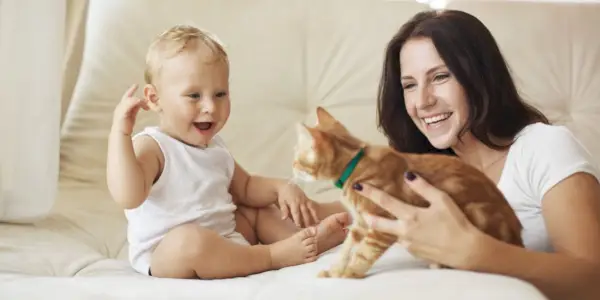 Et billede med en baby sammen med en kat, der potentielt viser en hjertevarm interaktion eller kammeratskab mellem de to.