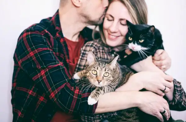 Immagine che cattura una coppia felice circondata dai loro gatti, esemplificando l'amore condiviso e la realizzazione che più compagni felini possono portare in una famiglia.