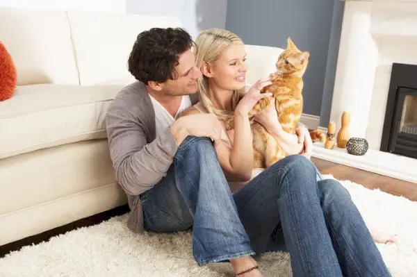 Instantâneo de um gato aninhado confortavelmente entre um casal, simbolizando o amor, o carinho e a união que os animais de estimação contribuem para os relacionamentos.