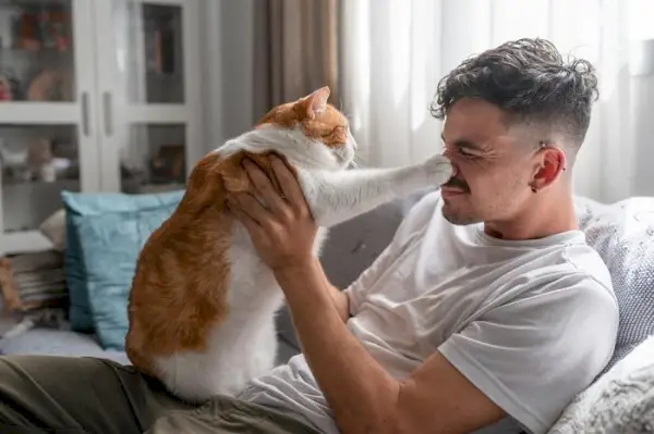 Imagem de um gato interagindo com um homem, retratando uma interação deliciosa que demonstra o companheirismo e a alegria mútuos que compartilham.