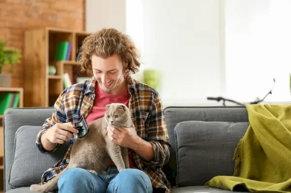 Das Bild zeigt eine Person, die sanft eine Katze pflegt, und verdeutlicht die Sorgfalt und Aufmerksamkeit, die der Pflege der Katze gewidmet wird