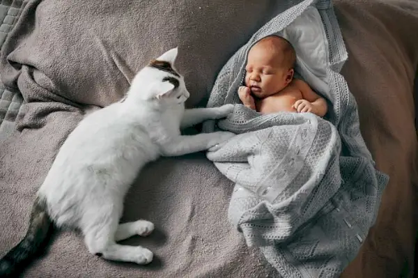 Ein Bild, das einen herzerwärmenden Moment zwischen einem Baby und einer Katze zeigt.