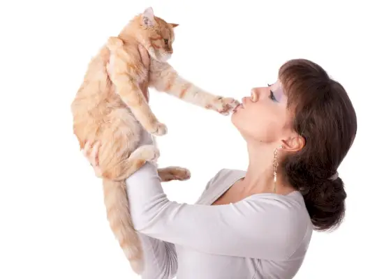 Mujer con un pequeño gatito divertido.