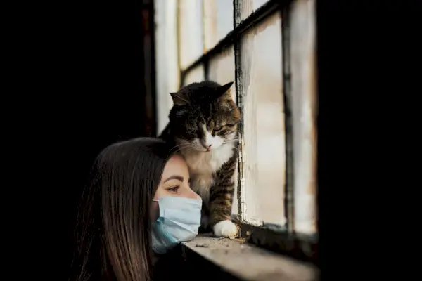 Una imagen que representa a una niña con su gato triste pero encantador.