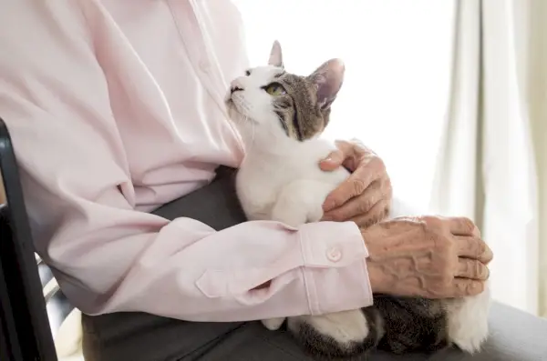 Et bilde med en eldre person som holder en søt katt.