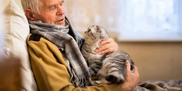 Et bilde med en eldre gråhåret mann i en koselig genser som holder en Scottish Fold-katt.