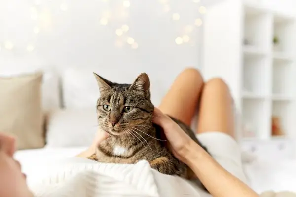 L'immagine di una donna che dorme pacificamente con il suo gatto accoccolato accanto a lei.