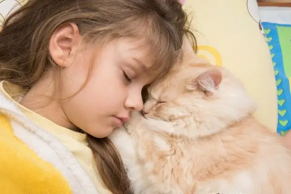 Resimde, başı içeri sokulmuş, rahat bir uyku pozisyonundaki bir kedi tasvir ediliyor ve kedinin rahat ve güvenli uyku pozisyonları bulma yeteneği sergileniyor.