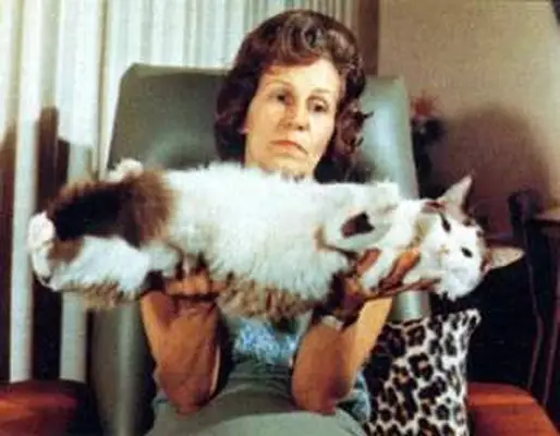Ann Baker Ragdoll cat