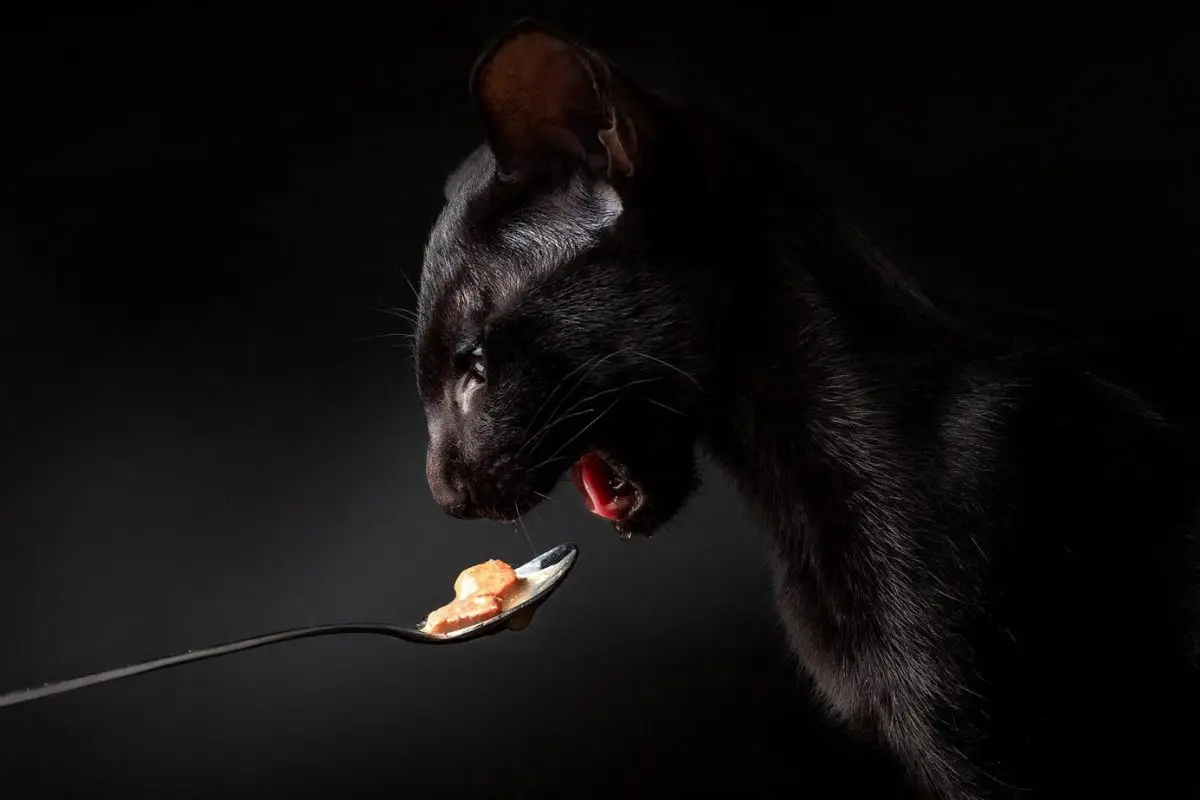 Black oriental eating
