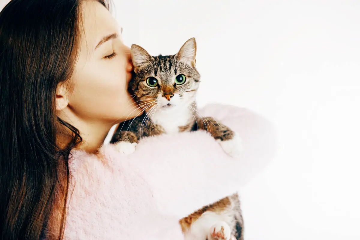 Cat Kiss, musisz to zrobić?