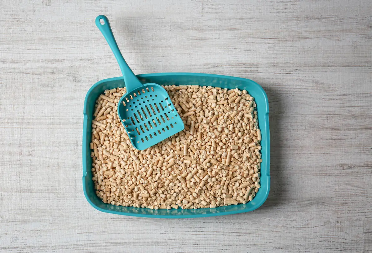 Cat litter tray