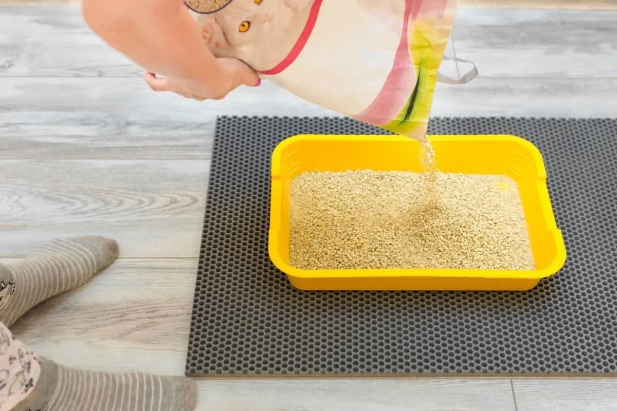 iemand giet droog afval uit een zak voor de kattenbak' title=