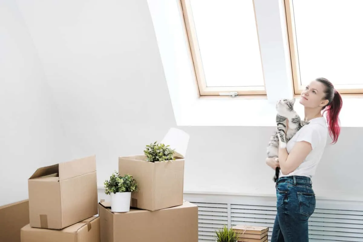 Elinde evcil bir kedi olan ve taşındığı yeni yere bakan kız' title=