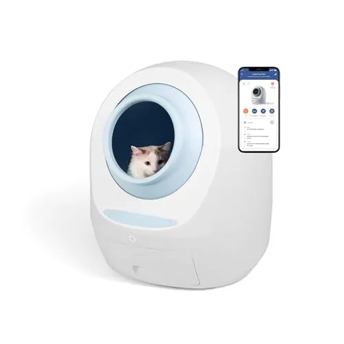 Kako odabrati najbolju automatsku kutiju za pijesak za vašu mačku