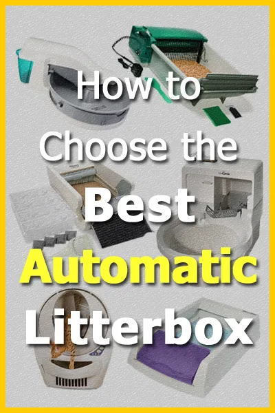 Kako odabrati najbolju automatsku posudu za otpatke za vas i vašu mačku' title=