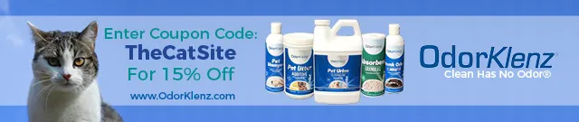 Како уклонити мирис мачјег урина из вашег дома' title=