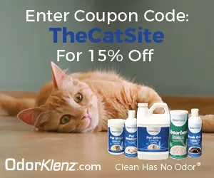 Како уклонити мирис мачјег урина из вашег дома' title=