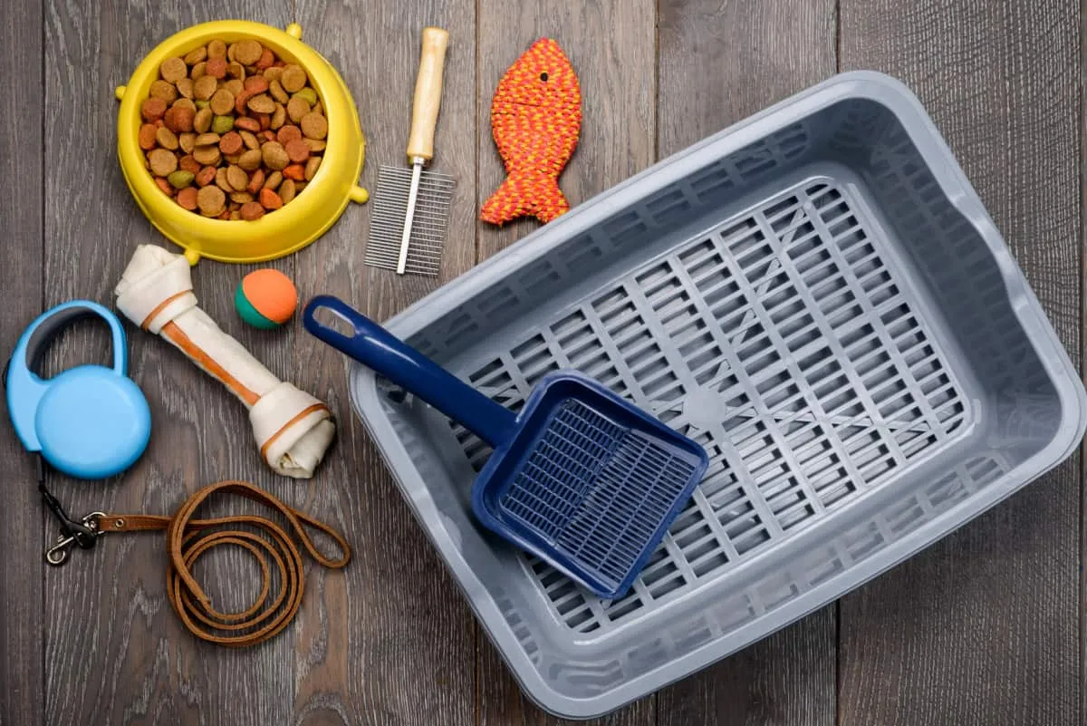 Fournitures pour animaux de compagnie pour chats' title=