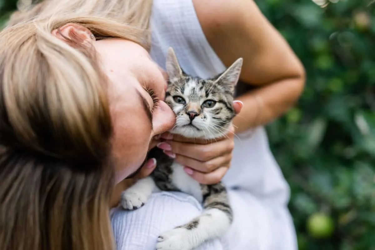 15 dingen die u moet weten voordat u een kat adopteert