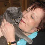 Uzmanlar her kedi sahibinin hemen yapmayı bırakmasını istediği 16 çöp kutusu hatası' title=