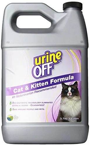 Kattenurine verwijderen [Stapsgewijze handleiding]