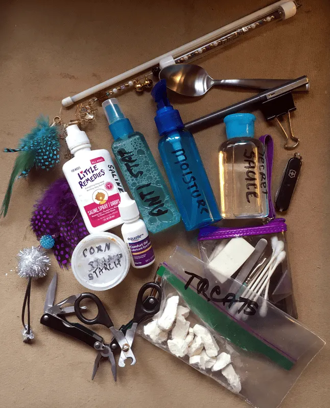 Bir Gösteri Kedisinin Bakımı Nasıldır?' title=