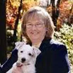 16 napak v smetnjaku Strokovnjaki želijo, da vsak lastnik mačke takoj preneha delati' title=