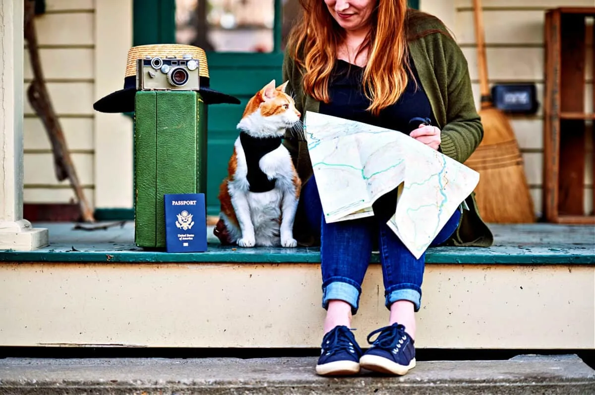Viajando com gatos [seu guia definitivo e 36 dicas para mudar o jogo]' title=